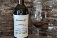 Le Domaine Bousquet Malbec Tupungato Valle de Uco 2024